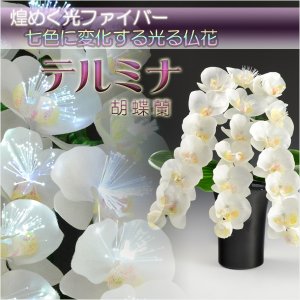 画像: 光ファイバー使用の光る仏花【7色に変化する煌めくお花　テルミナ：胡蝶蘭】新盆　初盆　お盆用品　盆提灯　盆花　仏壇用仏具　送料無料