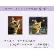 画像5: かわいいクリスタルペット位牌【ピュアラブ　キューブ型　サイズB】【UV＋２Dレーザー】犬の位牌　猫の位牌　ペット供養 送料無料