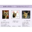 画像6: かわいいクリスタルペット位牌【ピュアラブ　キューブ型　サイズB】【UV＋２Dレーザー】犬の位牌　猫の位牌　ペット供養 送料無料