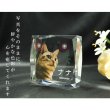 画像3: かわいいクリスタルペット位牌【ピュアラブ　キューブ型　サイズB】【UV＋２Dレーザー】犬の位牌　猫の位牌　ペット供養 送料無料